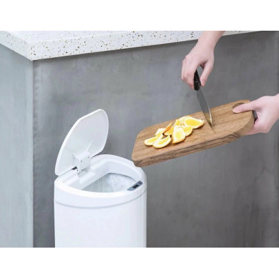 Мусорное ведро сенсорное Ninestars Smart Sensor Trash 10L (DZT-10-29S), белый