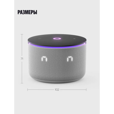 Яндекс Станция Мини 3 Pro 18W, BT5.0, WiFi 2.4/5 ГГц, с Алисой на YaGPT, LED(YNDX-00059BLU), серый